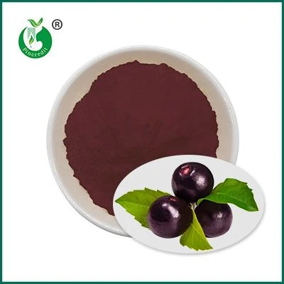 Порошок з соку ягід Acai