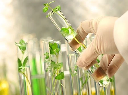 Прогноз ринку рослиннидобутку 2021