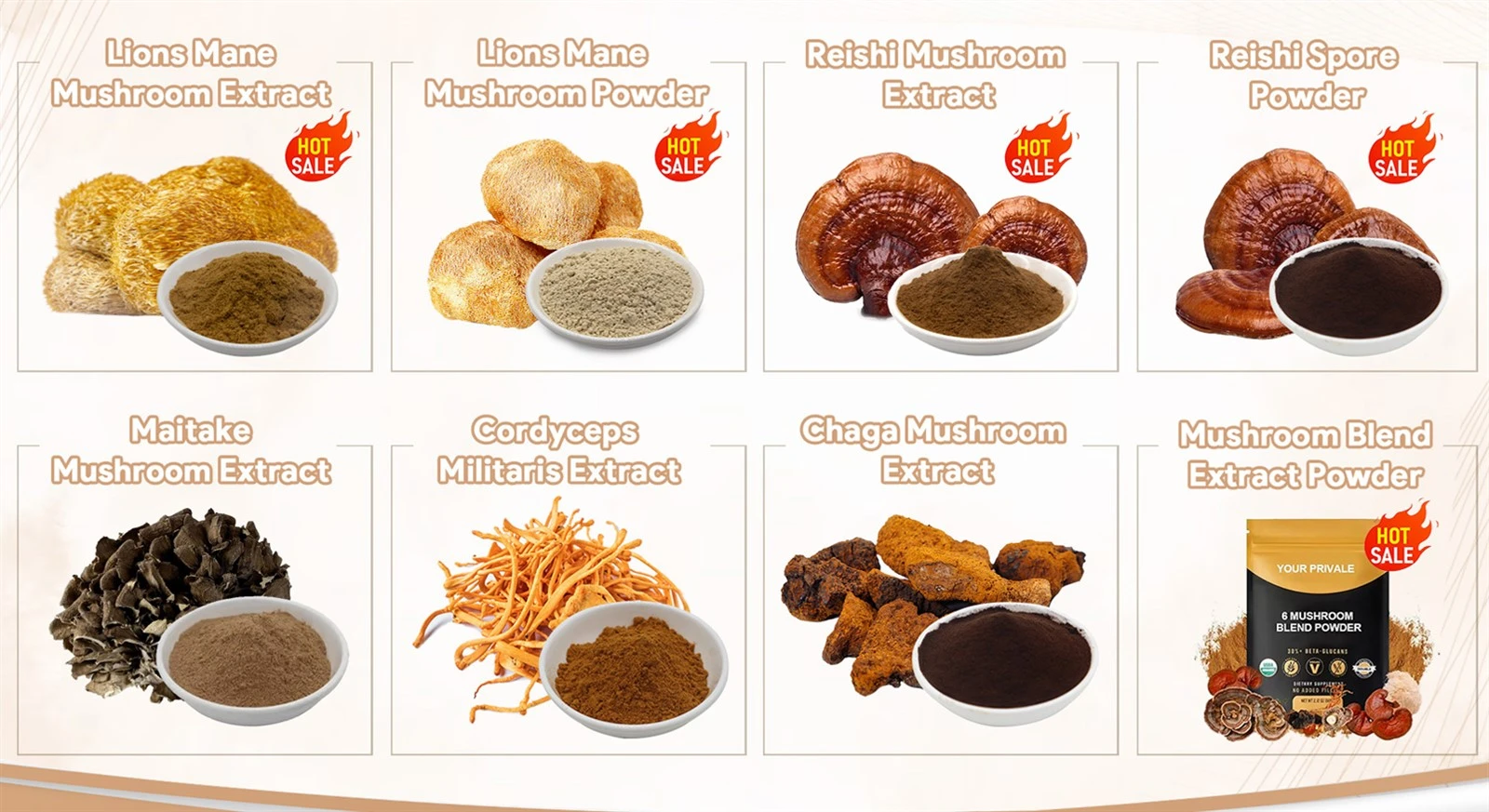 Organic Mushroom Extract Powder Organic Mushroom Extract Powder
